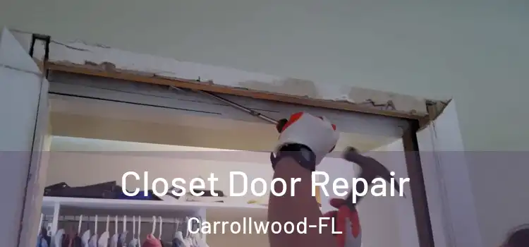  Closet Door Repair Carrollwood-FL