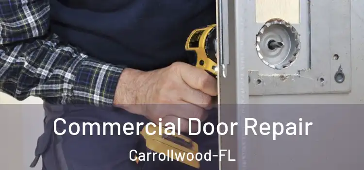  Commercial Door Repair Carrollwood-FL