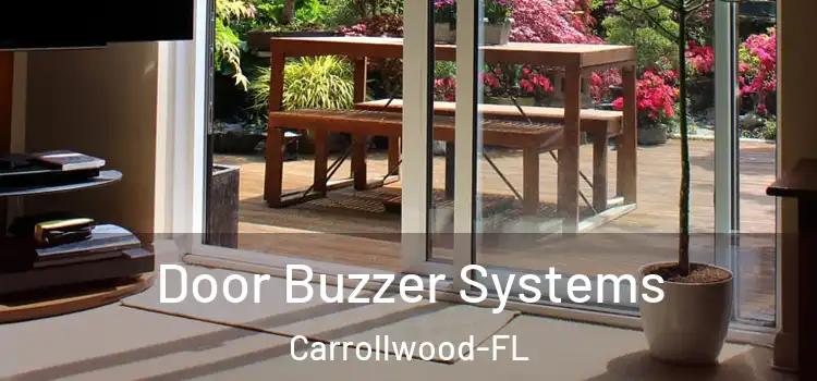  Door Buzzer Systems Carrollwood-FL