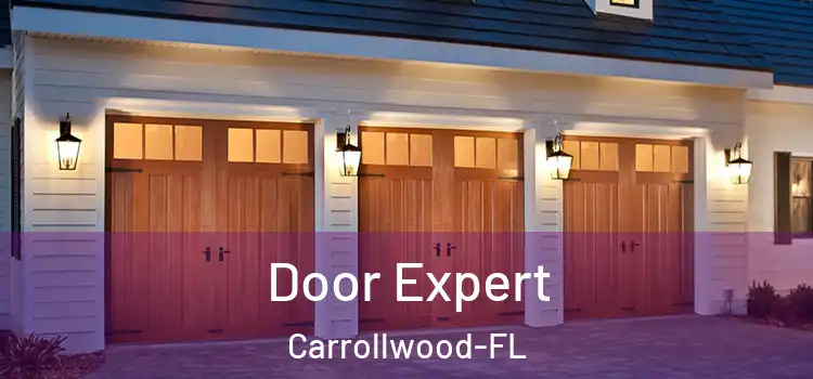  Door Expert Carrollwood-FL