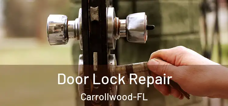 Door Lock Repair Carrollwood-FL