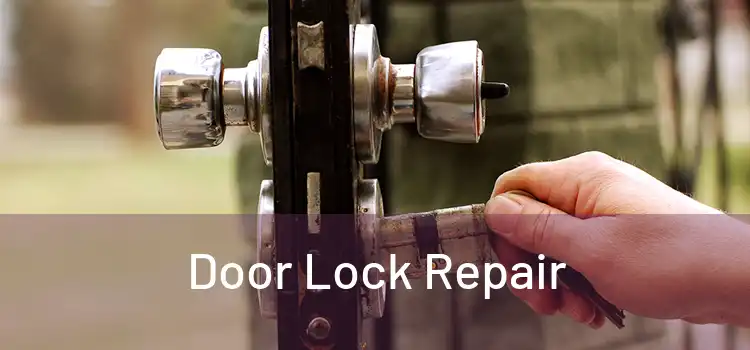 Door Lock Repair