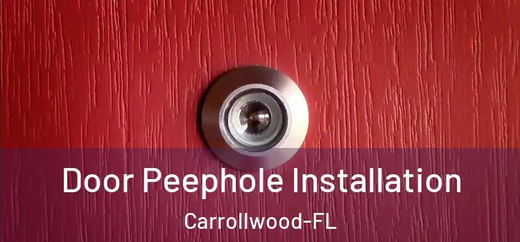  Door Peephole Installation Carrollwood-FL