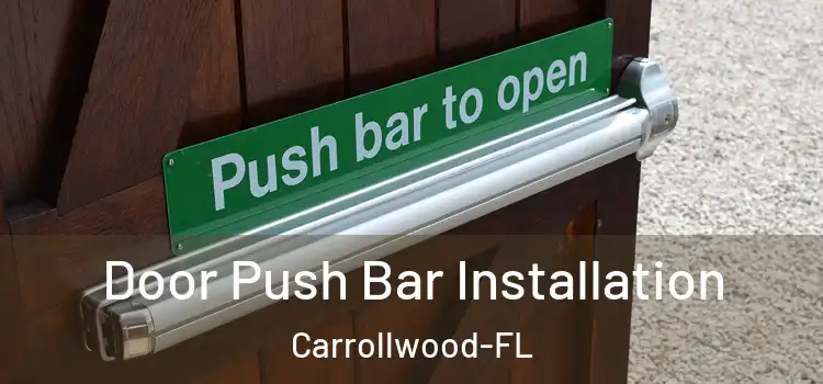  Door Push Bar Installation Carrollwood-FL