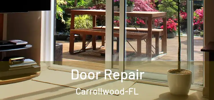 Door Repair Carrollwood-FL