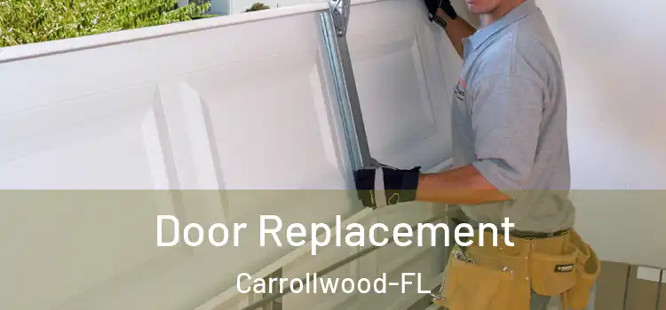  Door Replacement Carrollwood-FL