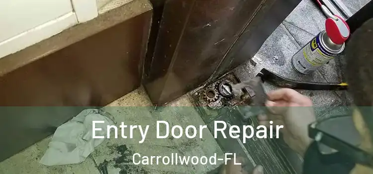  Entry Door Repair Carrollwood-FL