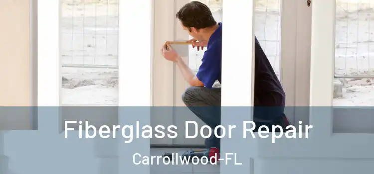  Fiberglass Door Repair Carrollwood-FL