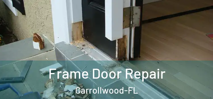  Frame Door Repair Carrollwood-FL