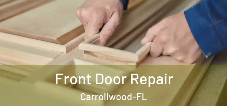  Front Door Repair Carrollwood-FL