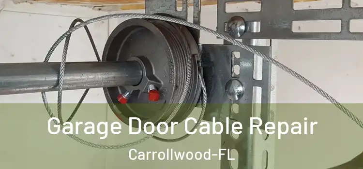  Garage Door Cable Repair Carrollwood-FL