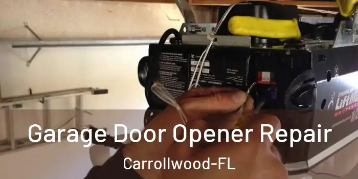 Garage Door Opener Repair Carrollwood-FL