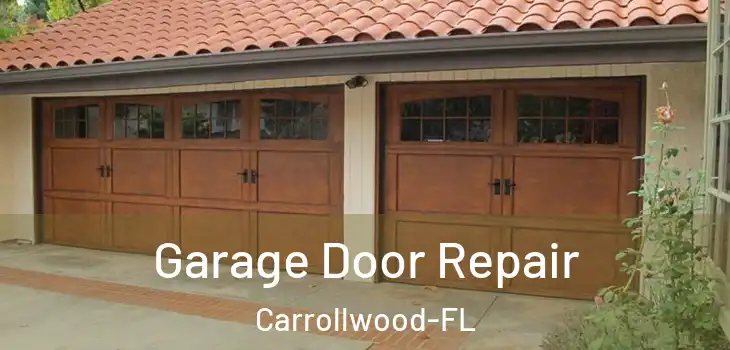  Garage Door Repair Carrollwood-FL