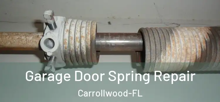  Garage Door Spring Repair Carrollwood-FL
