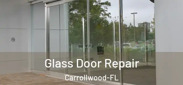  Glass Door Repair Carrollwood-FL