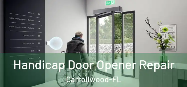  Handicap Door Opener Repair Carrollwood-FL