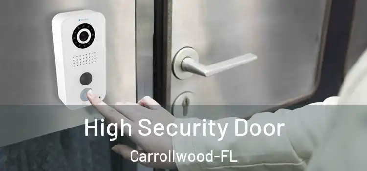  High Security Door Carrollwood-FL