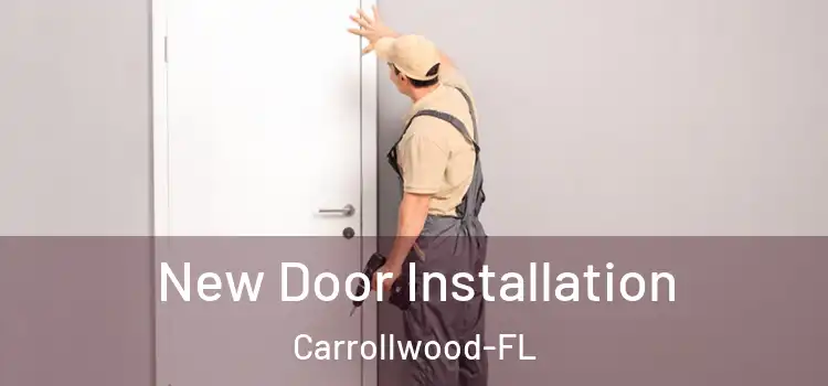  New Door Installation Carrollwood-FL