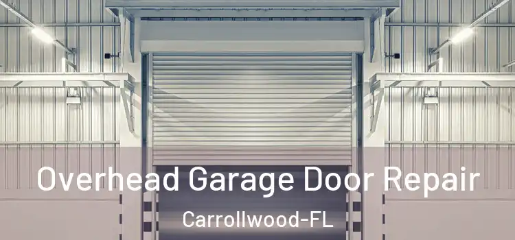 Overhead Garage Door Repair Carrollwood-FL