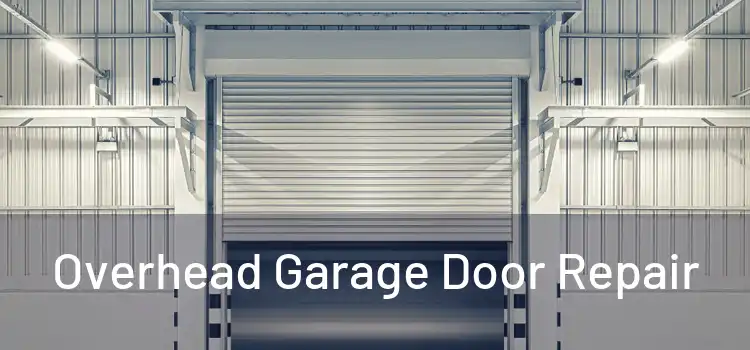 Overhead Garage Door Repair