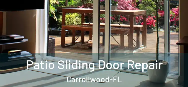 Patio Sliding Door Repair Carrollwood-FL