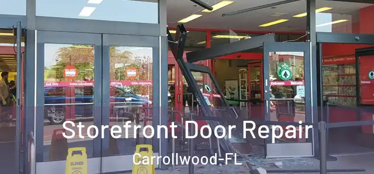  Storefront Door Repair Carrollwood-FL